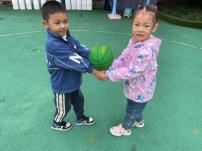 img14